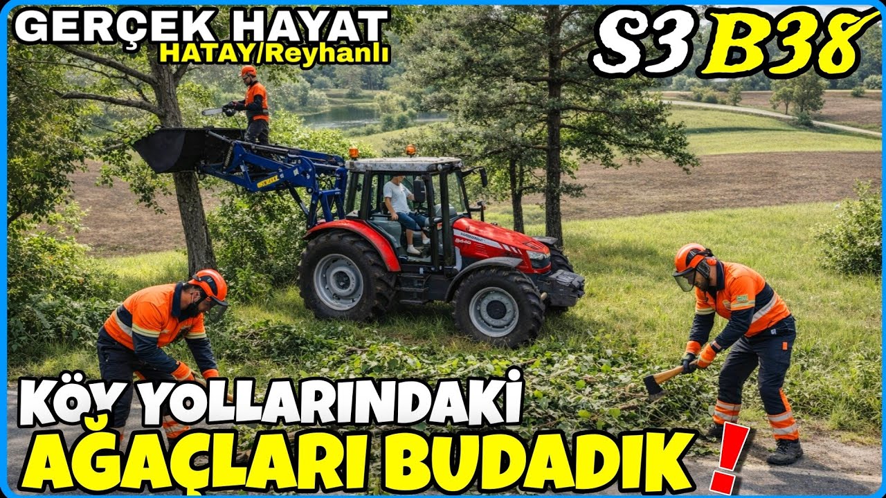 KÖY YOLLARINDAKİ AĞAÇLARI BUDADIK🔸️BOZDUĞUM MERAYA TEKRAR ÇİM EKTİM🔸️FS25 GERÇEK HAYAT HATAY