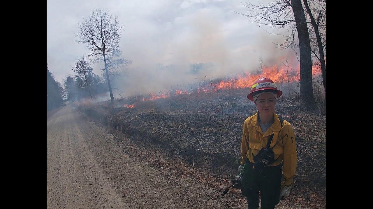 Parker's Branch Prescribed Burn