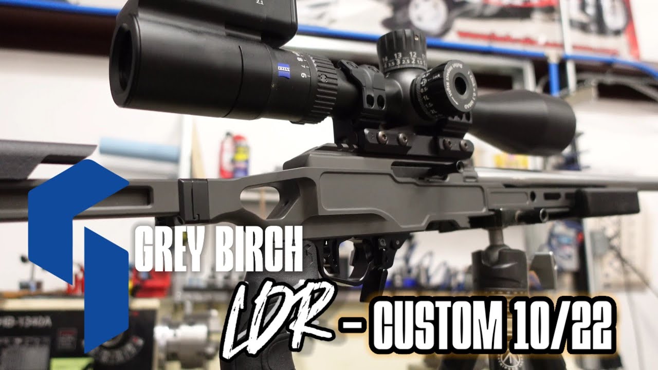 Самый точный 10/22? | Grey Birch LDR - #DPGunworks custom 22