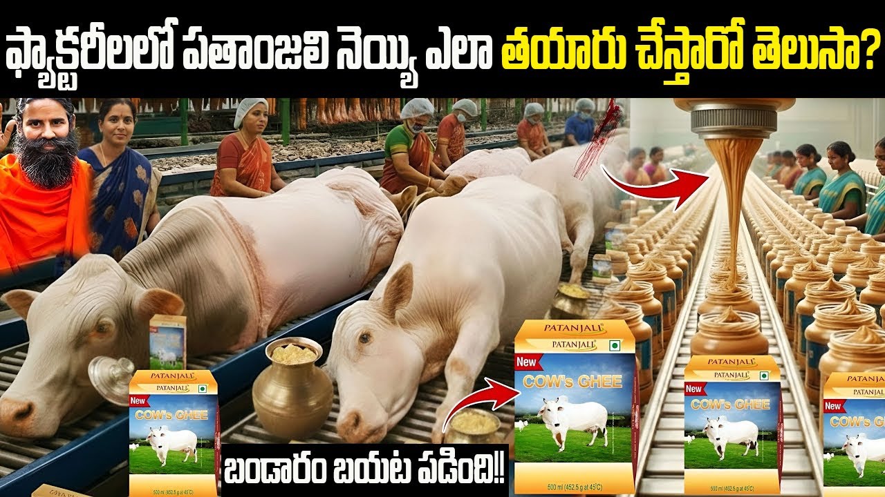 ఫ్యాక్టరీలలో పతాంజలి నెయ్యి ఎలా తయారు చేస్తారో తెలుసా? | How Patanjali Ghee Is Made | FN-20 Telugu