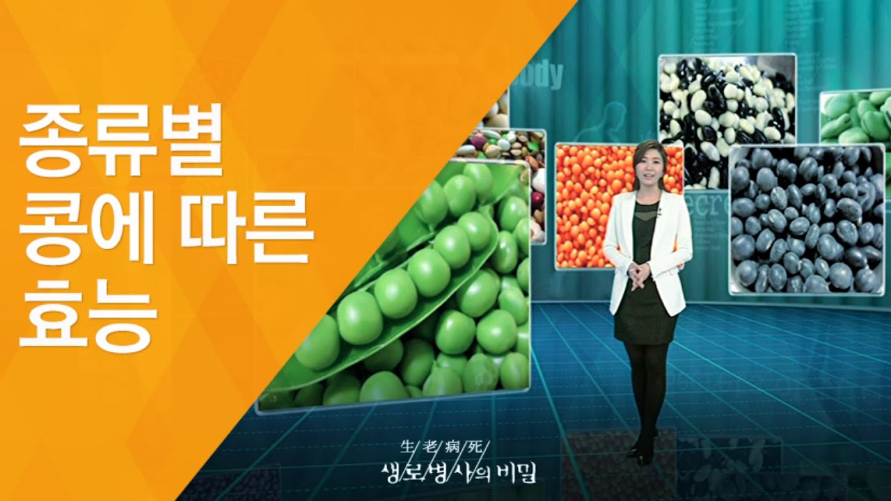 종류별 콩에 따른 효능 - (2011.12.24_395회 방송)_자연이 준 선물, 제철음식 5편 - 검은콩