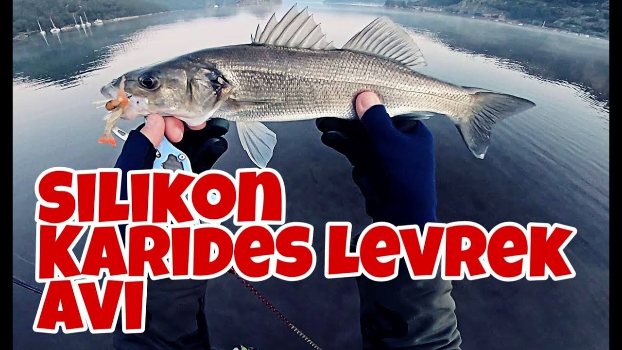 SİLİKON KARİDES İLE LEVREK AVI