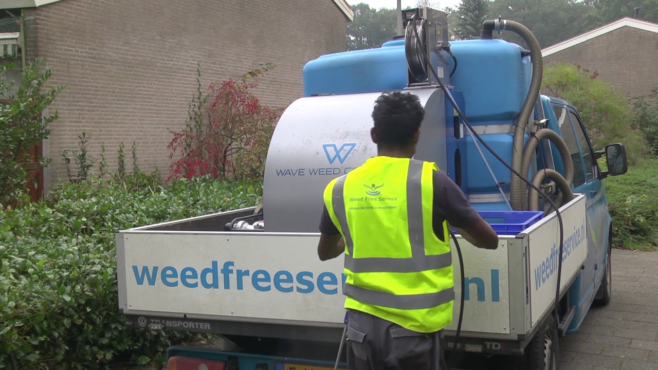 Reportage: Japanse duizendknoop wordt bestreden met water (TV Enschede)