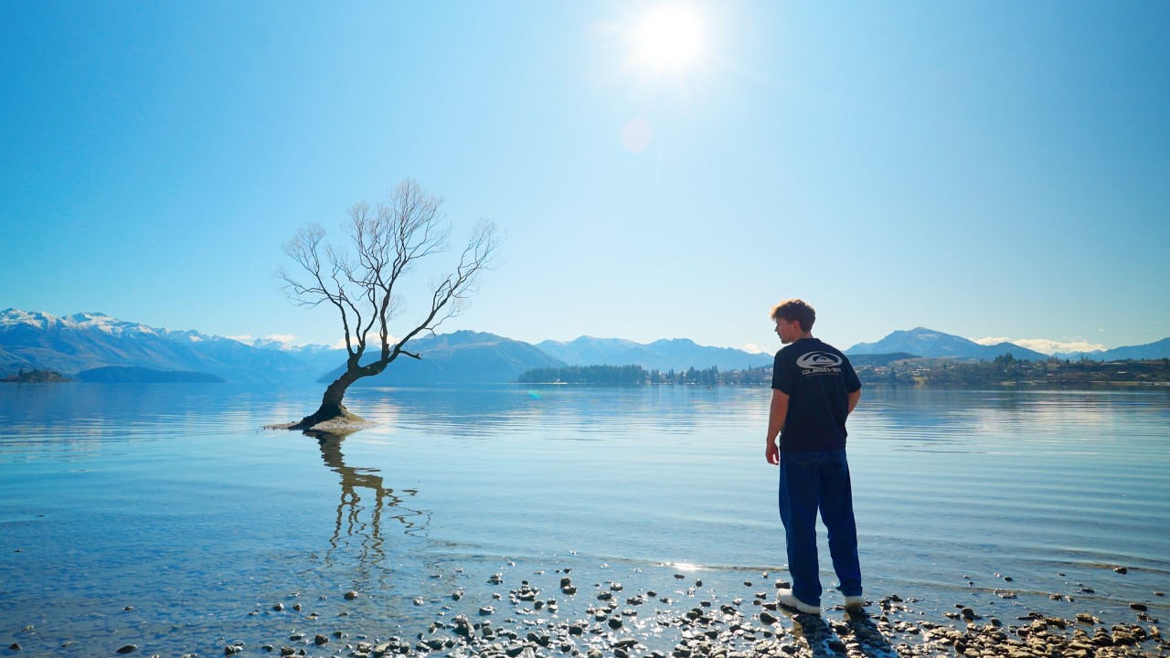 The Beauty Of New Zealand | Shot on A7IV 
