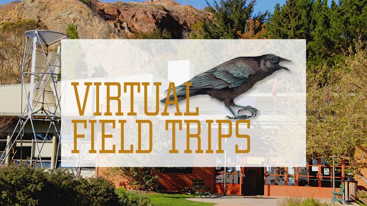 Virtual Field Trips @ The Randall