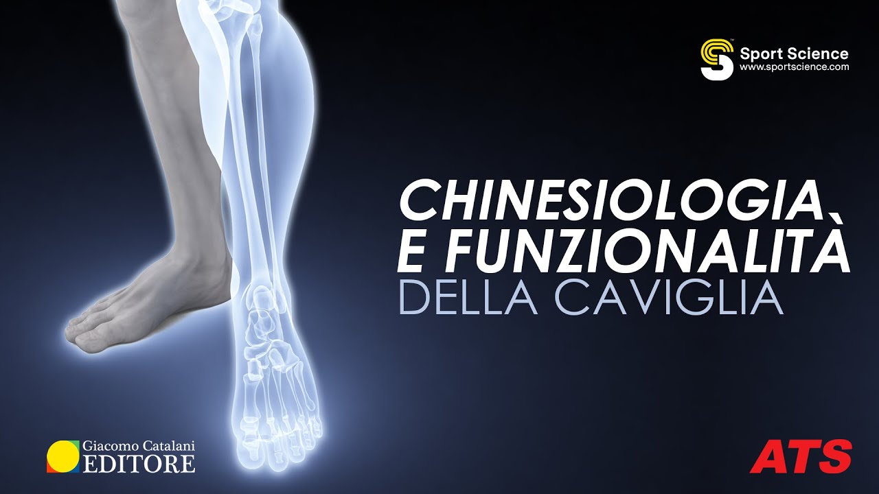 CHINESIOLOGIA e funzionalità della CAVIGLIA