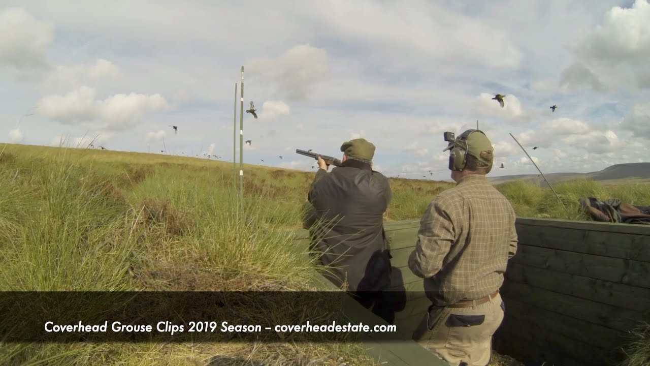 Coverhead Driven Grouse Shooting Action 2019