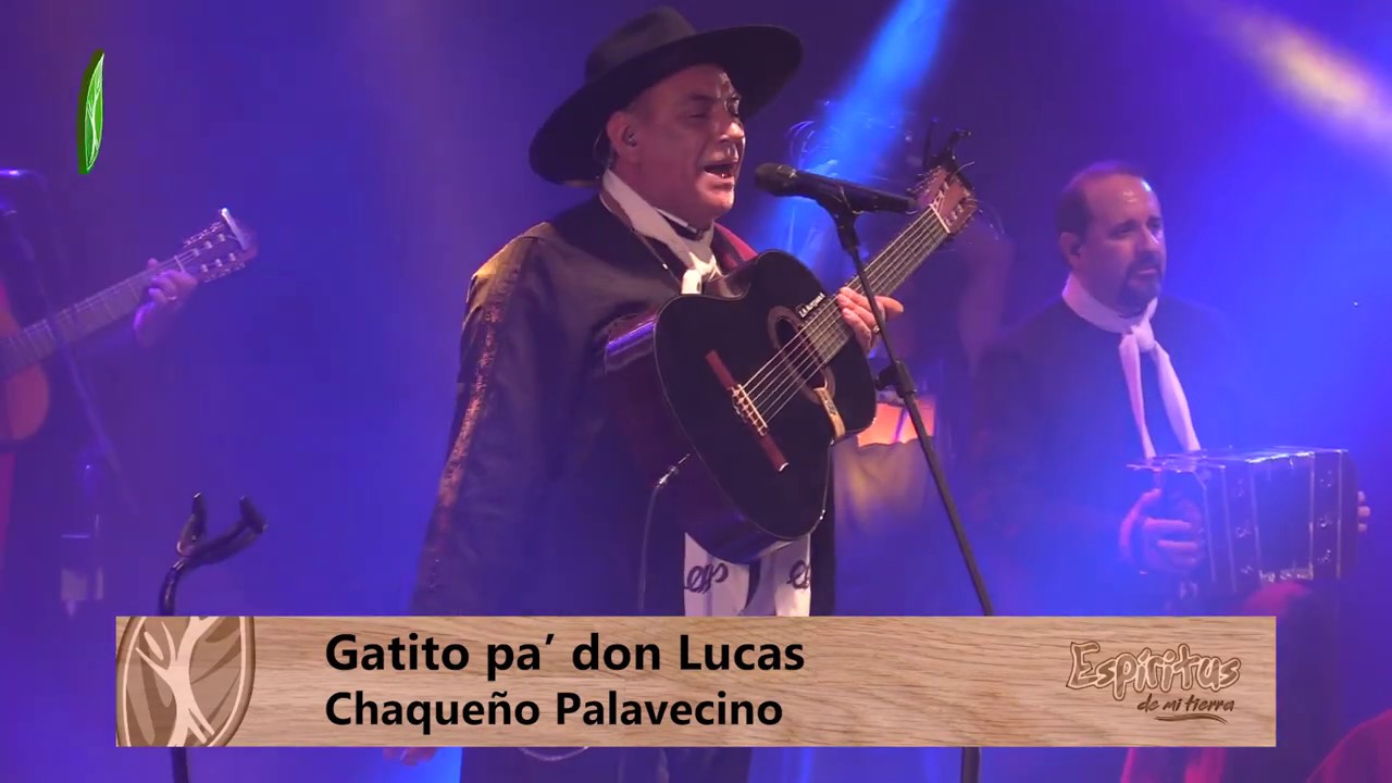 Chaqueño Palavecino - Gatito pa' don Lucas - Festival de La Salamanca 2020