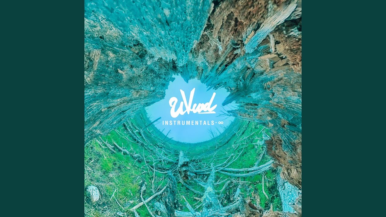 ODD FUTURE (Instrumental)
