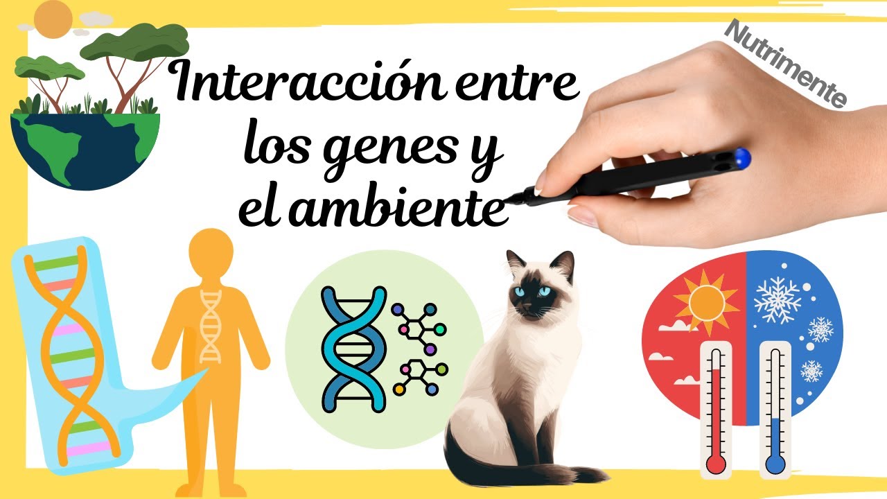 Interacción Entre los GENES y el AMBIENTE