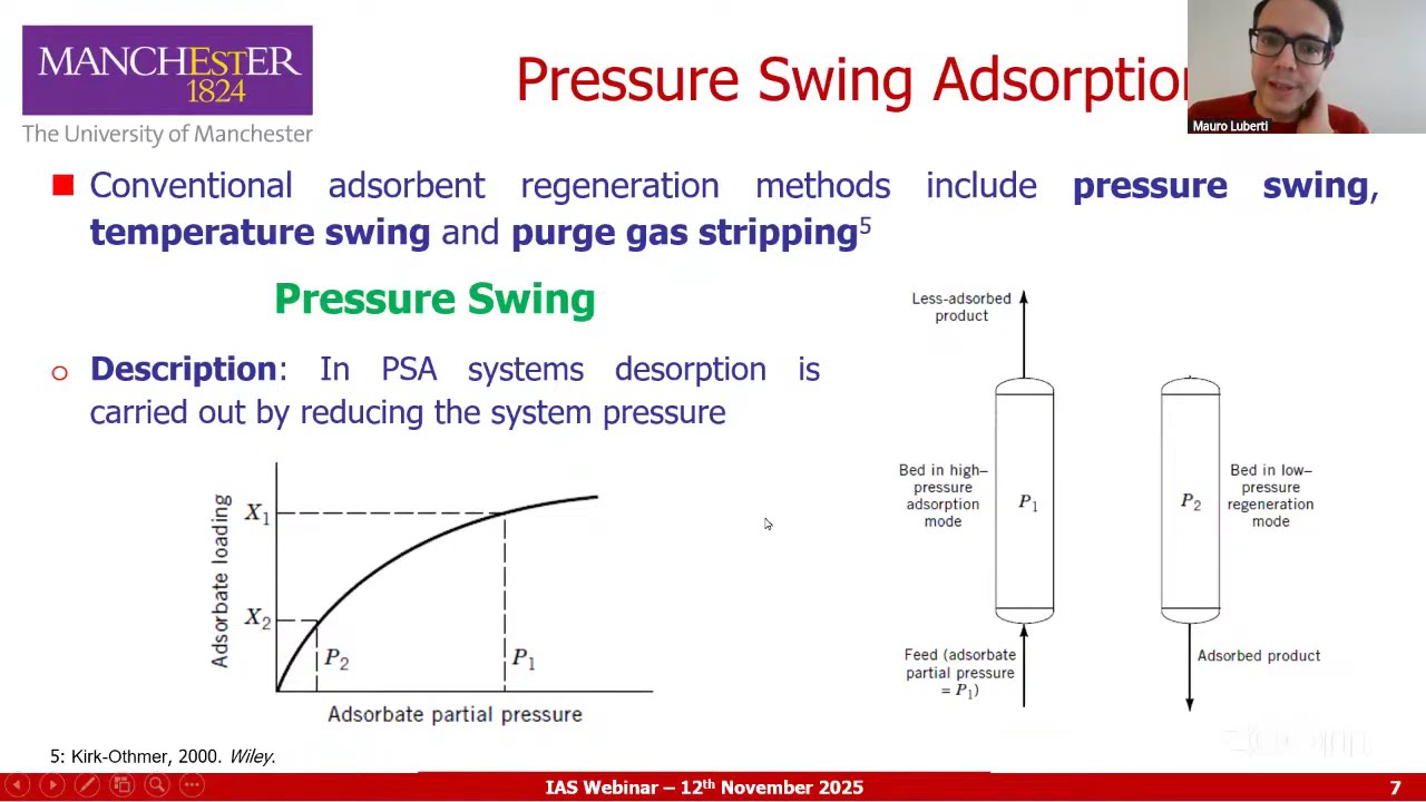 IAS Webinar 6.11, Mauro Luberti (University of Manchester)