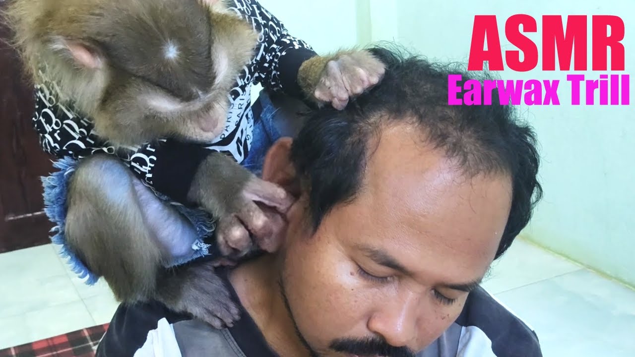 Dr. LYLY Must Get Rewards Earwax Trill But Dad Deny Grooming This!!