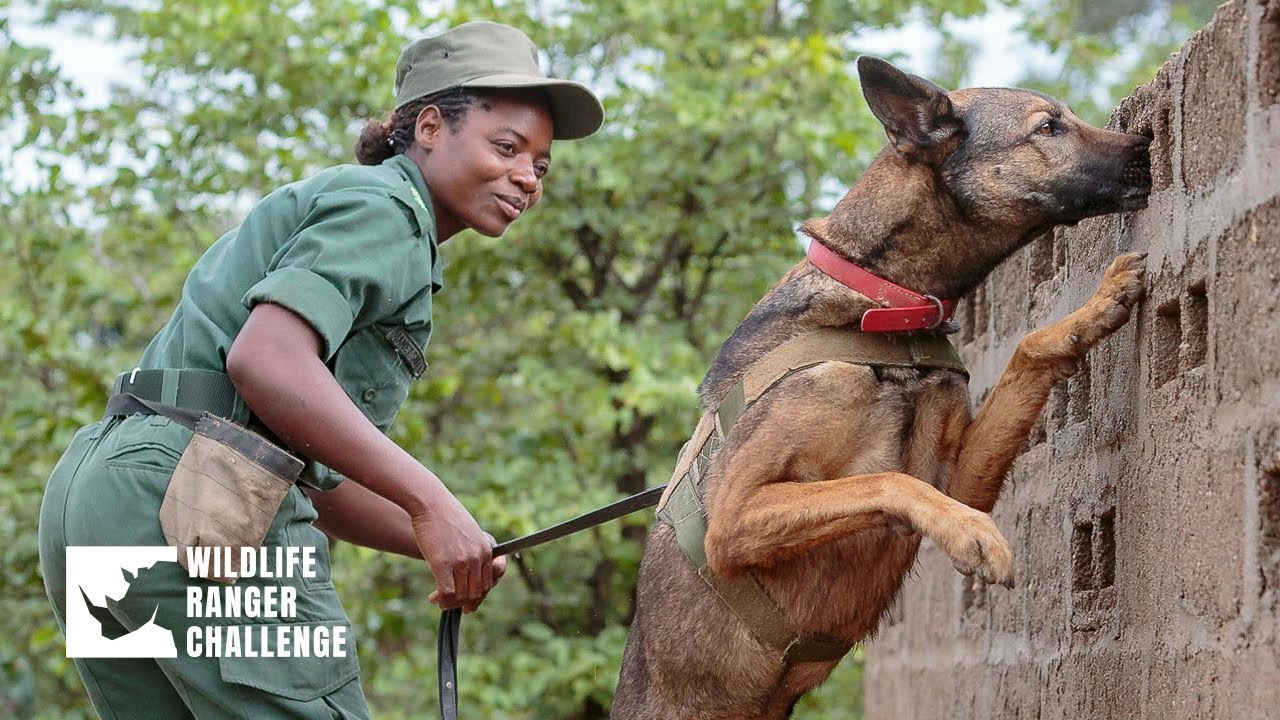 The K9 unit of Mkomazi.