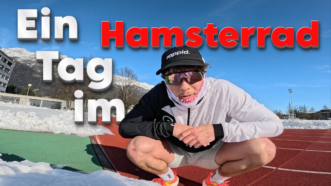 Ein Tag im Leben (Hamsterrad Edition)