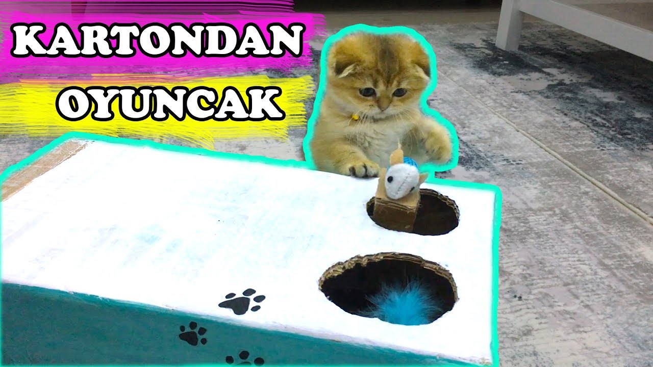 BASİT KEDİ OYUNCAĞI (Kendin yap oyuncak)