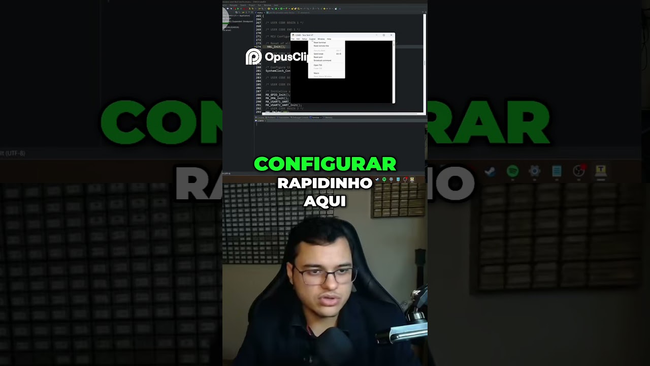 Tera Term no Windows e Moserial no Linux! Conhe&ccedil;a ferramentas seriais.
