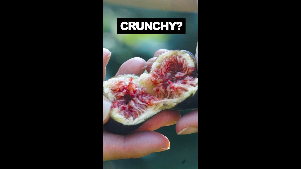 That crunchy stuff inside your fig #shorts