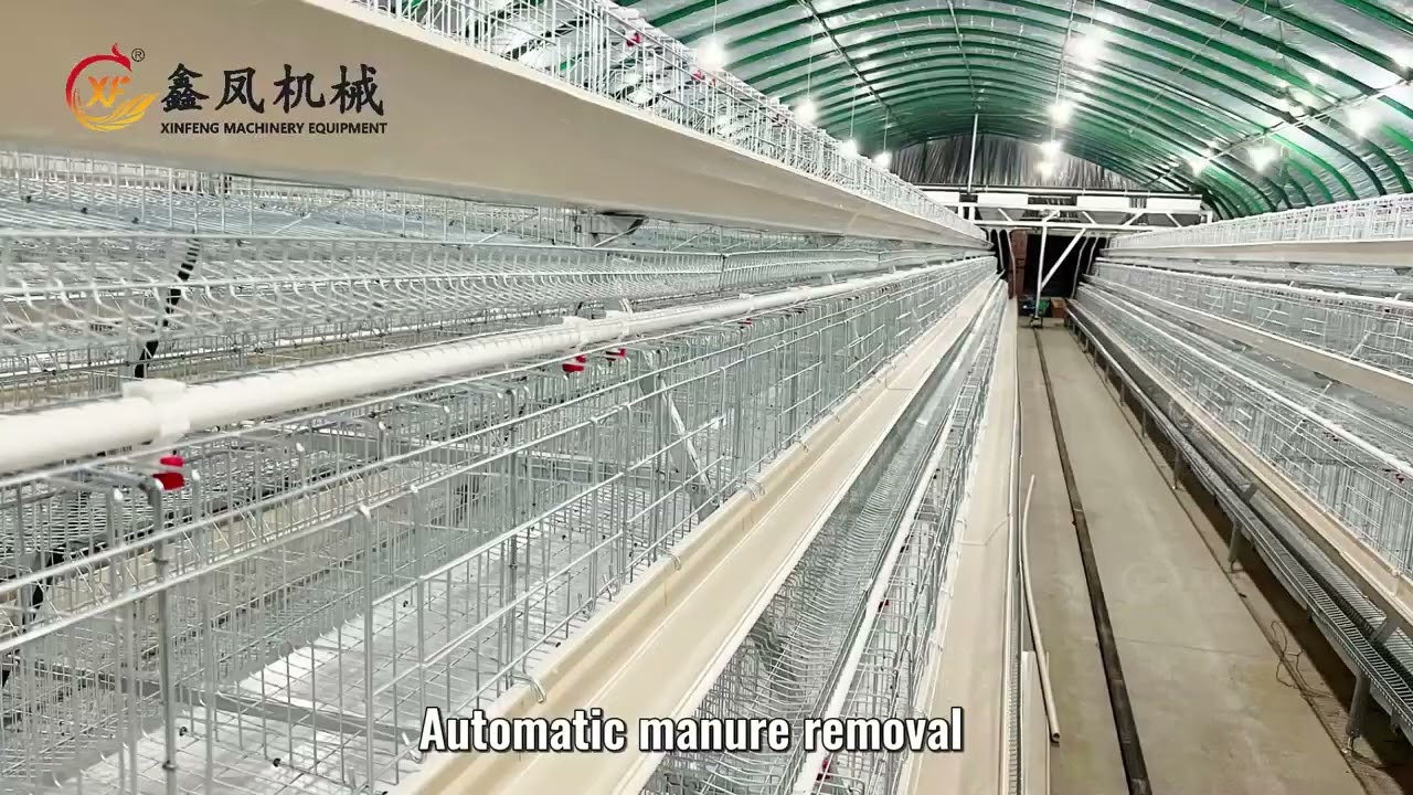 A  tyoe cage system suits foe starting owners