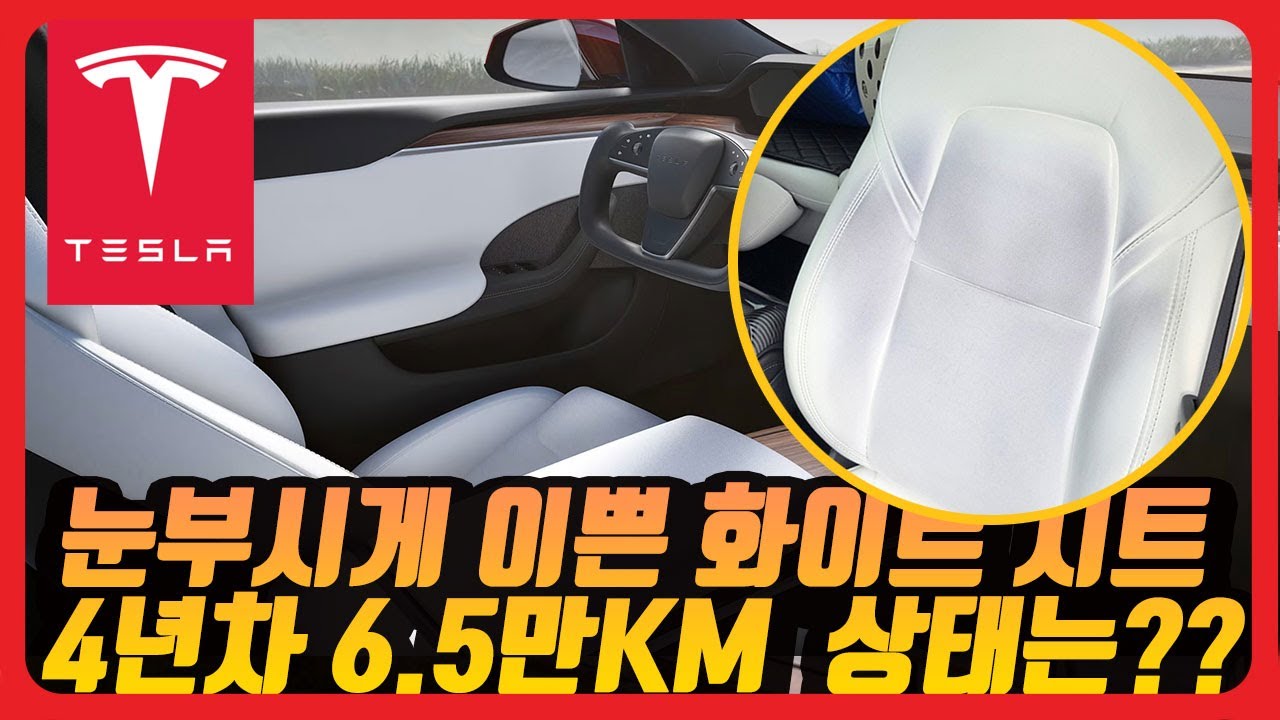자동차 실내청소 시트이염  테슬라 모델y 화이트 시트 관리 하기