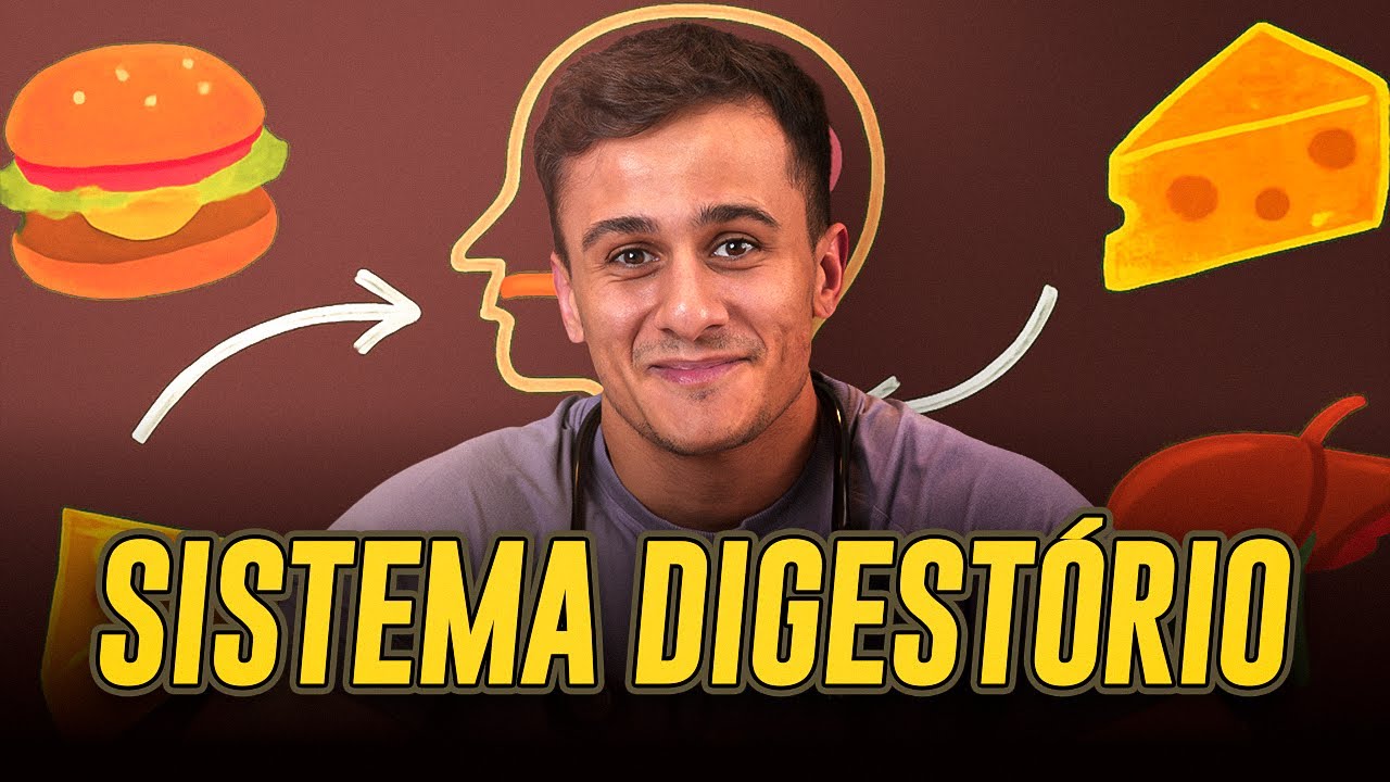 Construção da base de Sistema Digestório para o ENEM 2026 (extremamente didática)