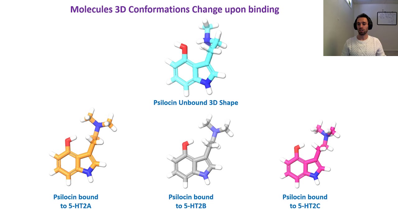 Psilocin bound to Serotonin Receptors Part 2