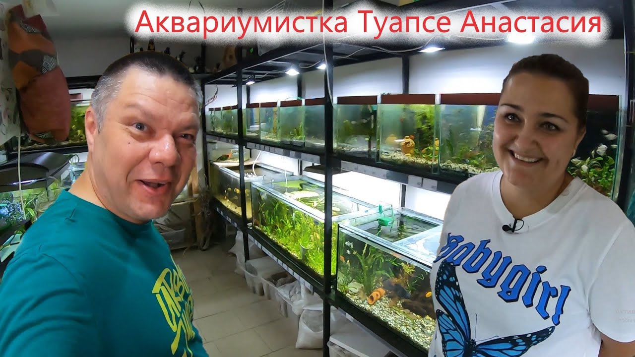 Аквариумистка Туапсе - Анастасия