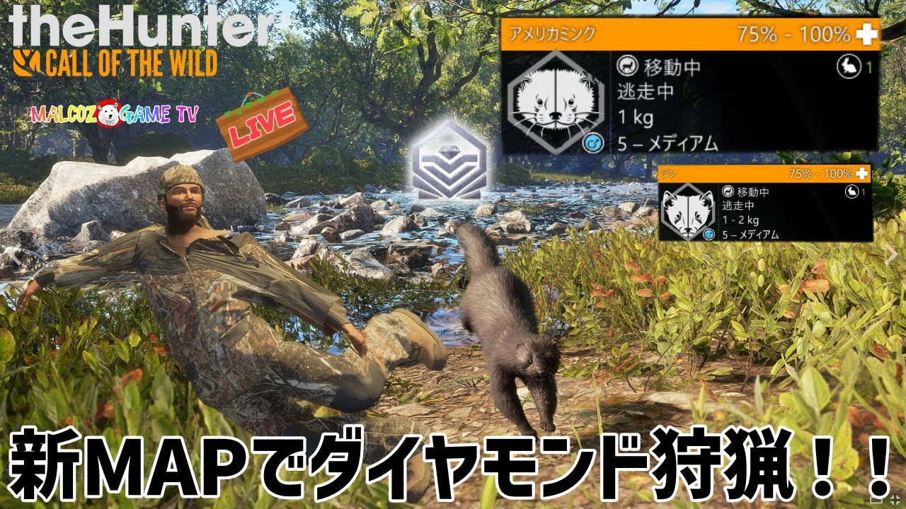 【ザハンターコールオブザワイルド】第5回ダイヤモンドミンク＆テンをLIVEで狩る！【theHunter: Call of the Wild 】