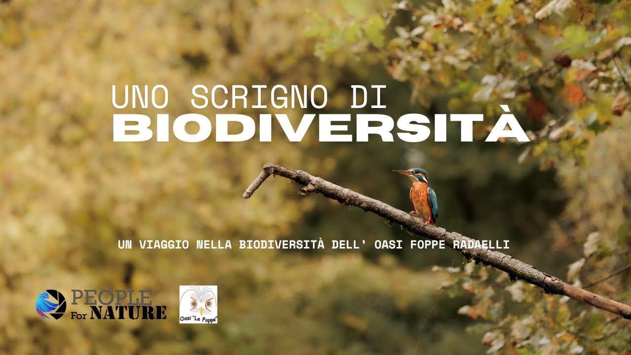 Uno scrigno di Biodiversit&agrave; - L'Oasi WWF le Foppe