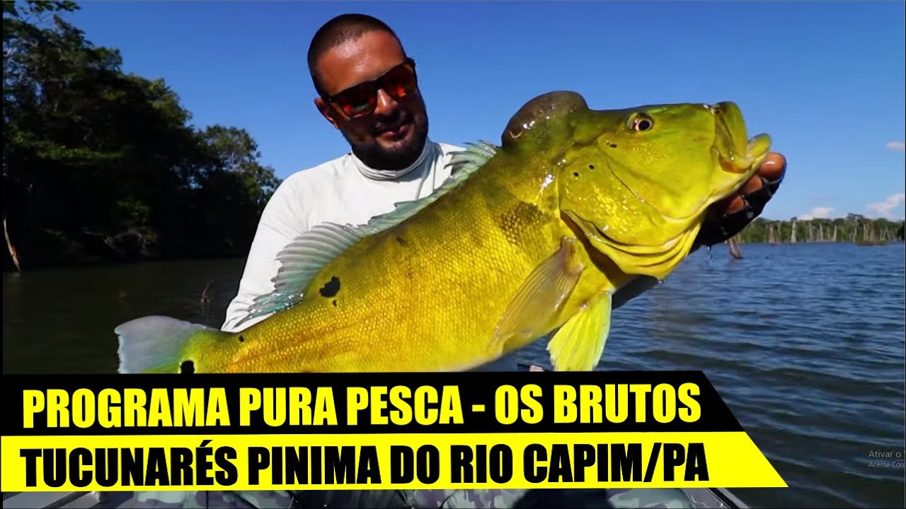 PESCARIA DE TUCUNARÉ PINIMA NO RIO CAPIM/PA