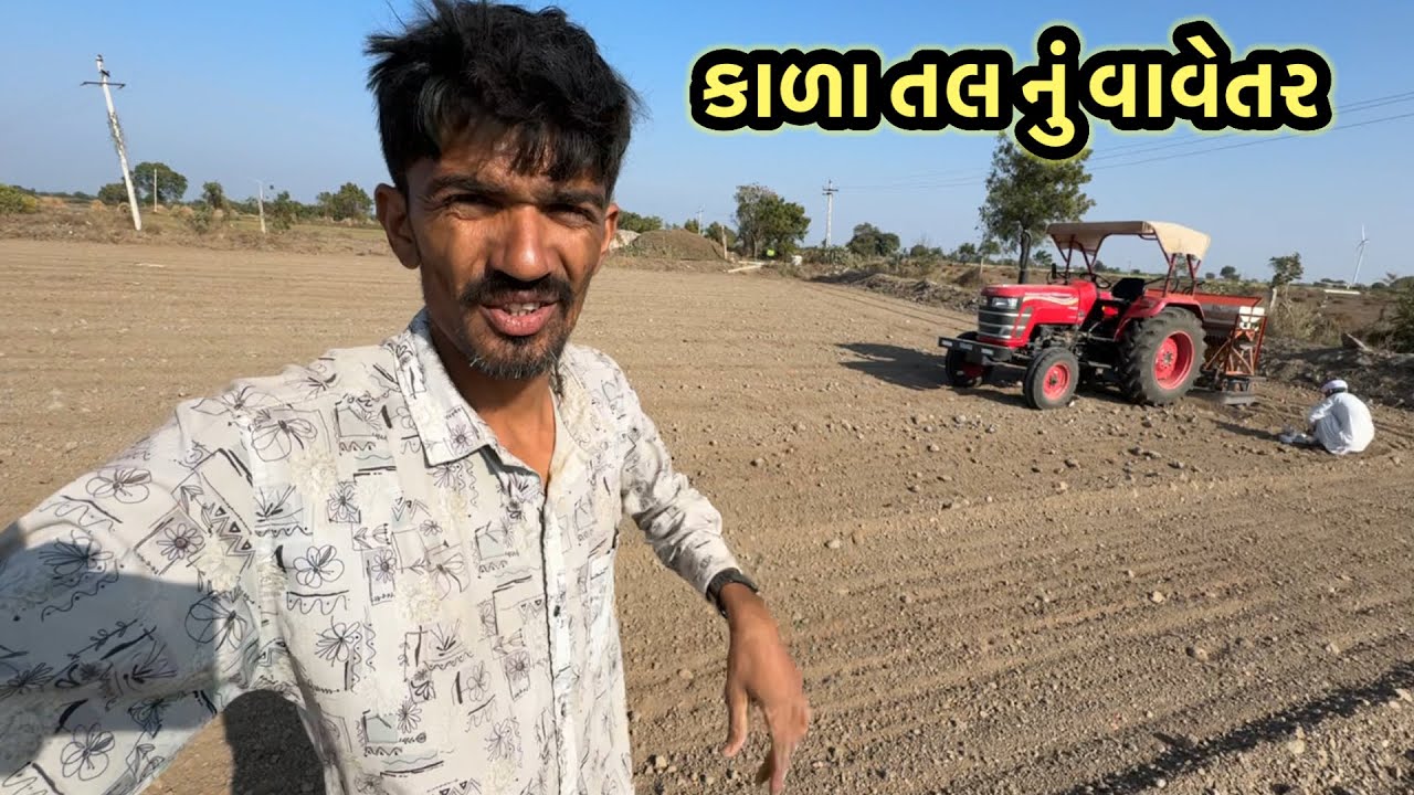 ઉનાળું કાળા તલ નું વાવેતર || village life 
