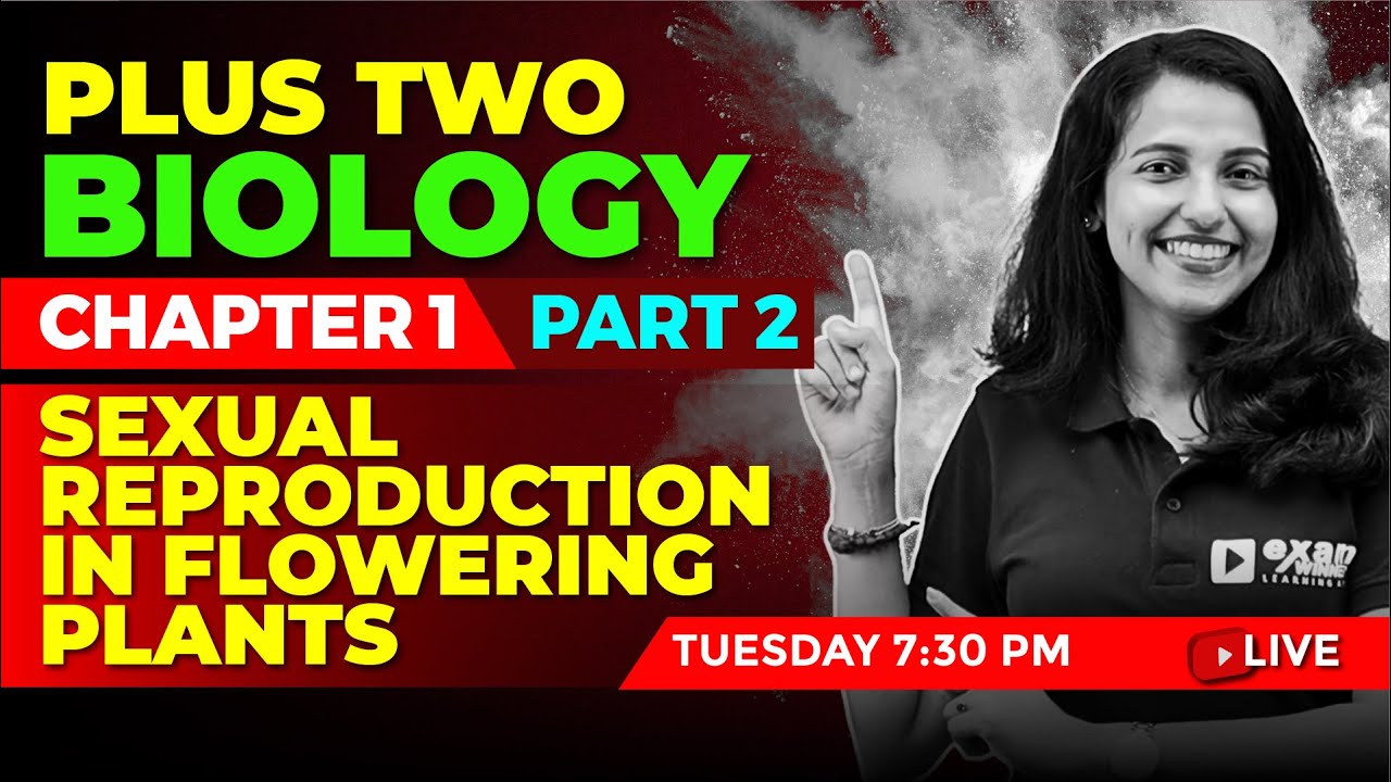 PLUS TWO BASIC BIOLOGY | CHAPTER 1 PART 2 | Sexual Reproduction in Flowering Plants | EXAM WINNER