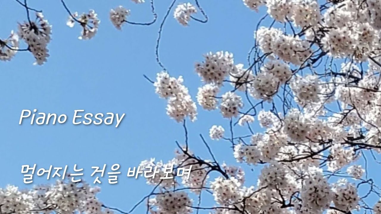 Piano Solo 18 (calm, healing, relaxing playlist)