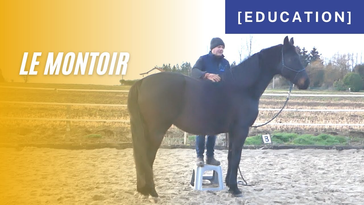 [ Education ] - Apprentissage du montoir