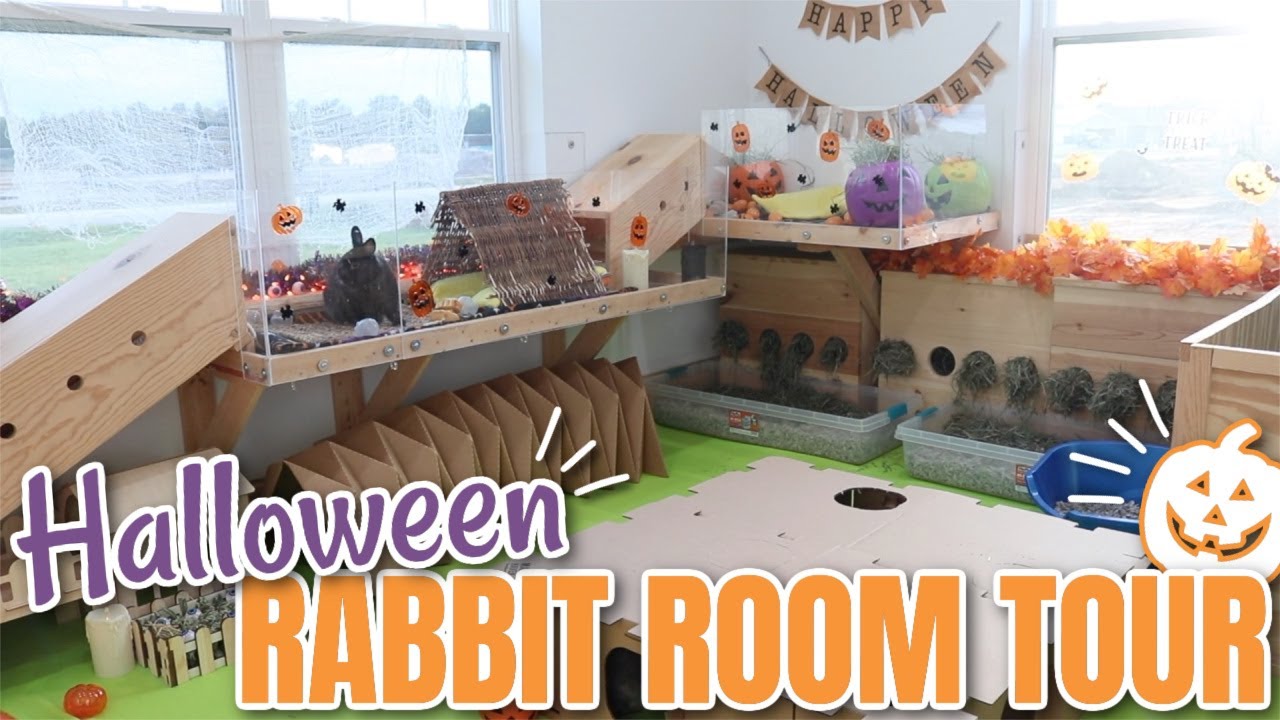 Halloween Bunny Room Tour! 2021