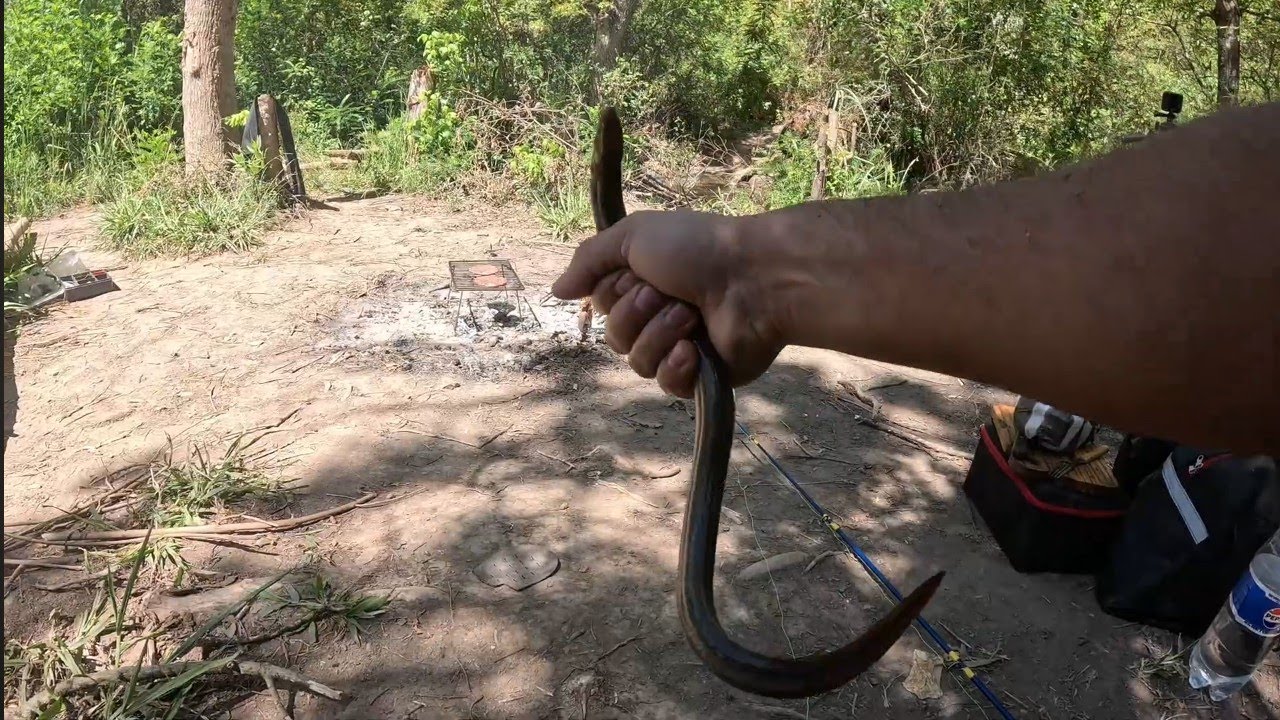 PESCA COCINA Y UN ENCUENTRO PELIGROSO