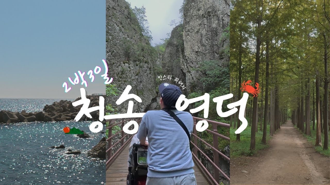 [청송🍎·영덕🦀2박3일 여행 vlog] 비오는날 주왕산 유모차 끌고 여행다니기 |  달기백숙 | 소노벨청송 |  영덕 라면집 |  블루리본 맛집 털UP👊🏻