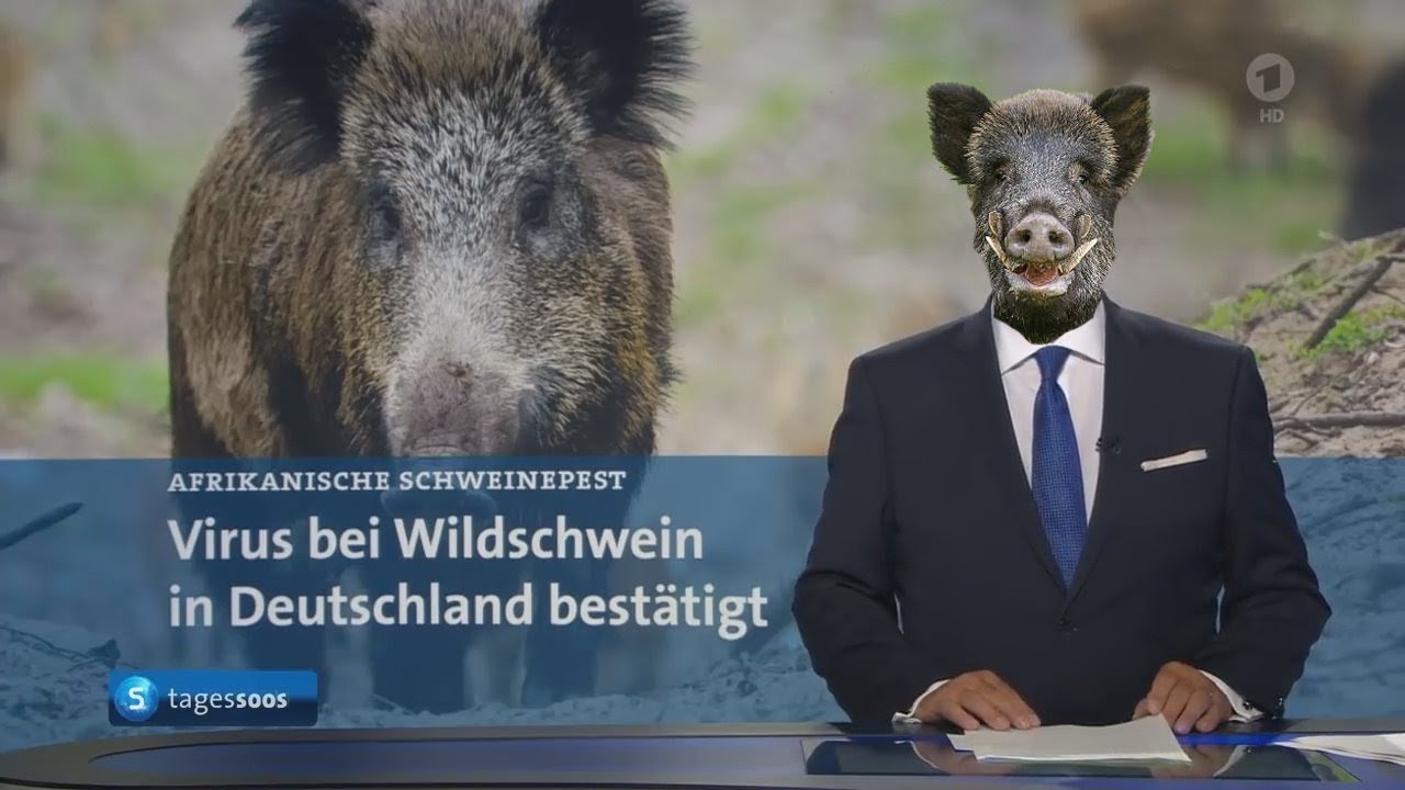 Youtube Kacke - Die TageSooSe