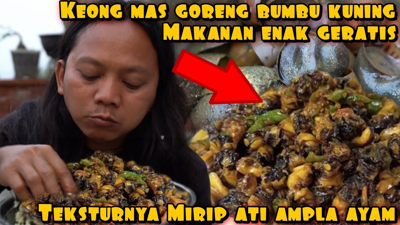 KEONG MAS GORENG BUMBU KUNING HASIL ALAM