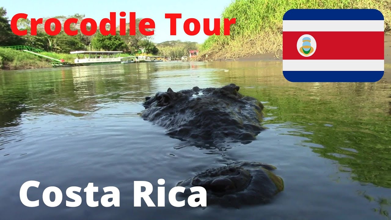 🇨🇷  Costa Rica CROCODILE TOUR: Rio Tarcoles Crocodiles and Scarlet Macaws {Budget Travel COSTA RICA}