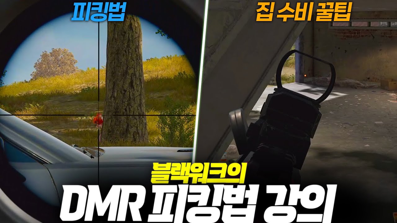 1티어 블랙워크의 DMR 피킹 강의 (+운전, 에란겔 집 막는 팁)