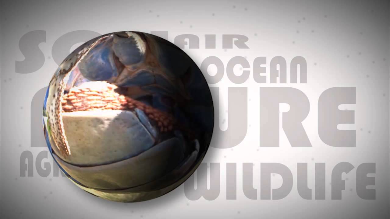 Can You Dig It? | DIG IT! Teaser