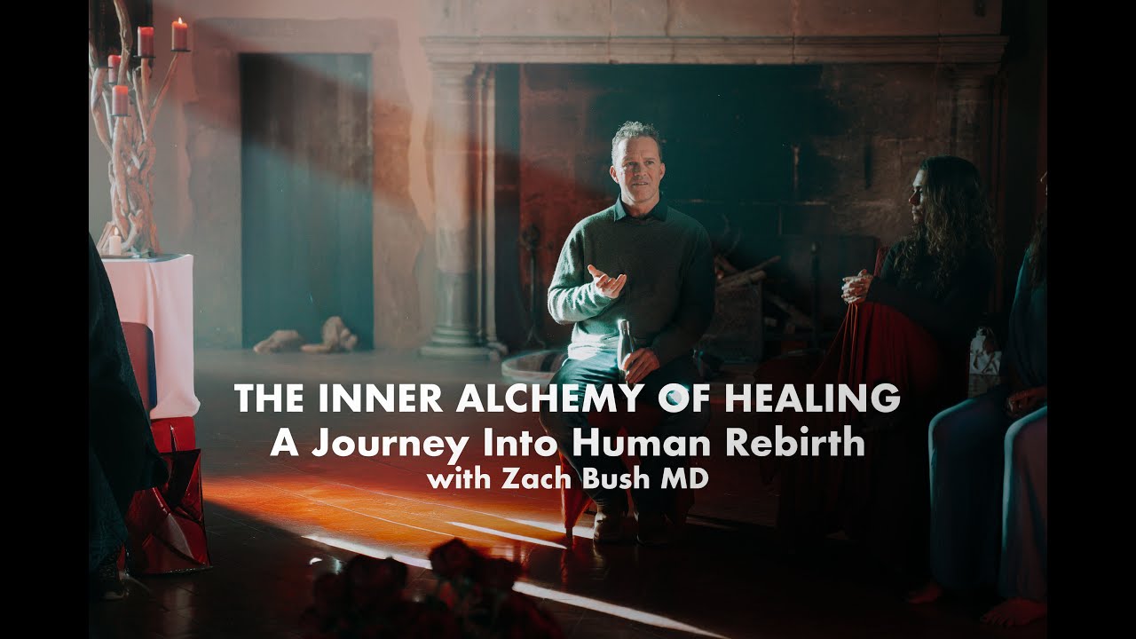 The Inner Alchemy of Healing: A Journey Into Human Rebirth with Zach Bush MD at Rewild 2025