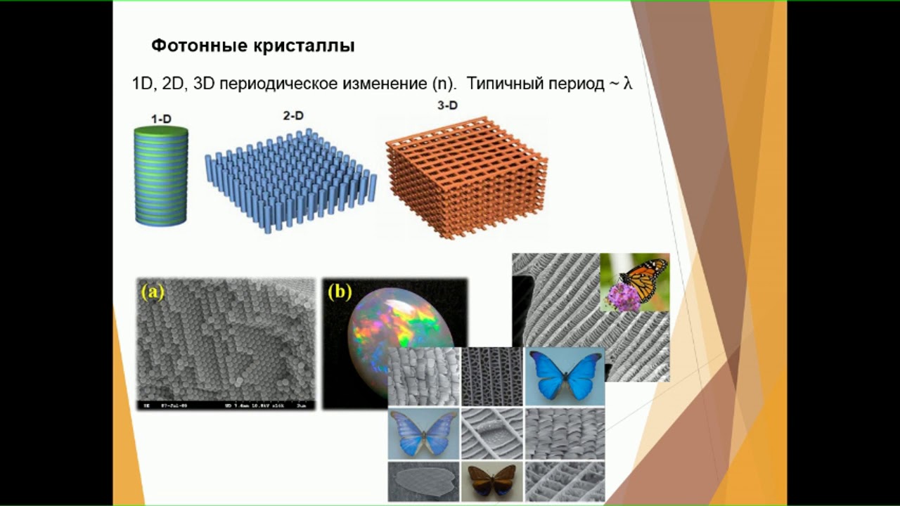 ИНТЭЛ :: Вебинар 