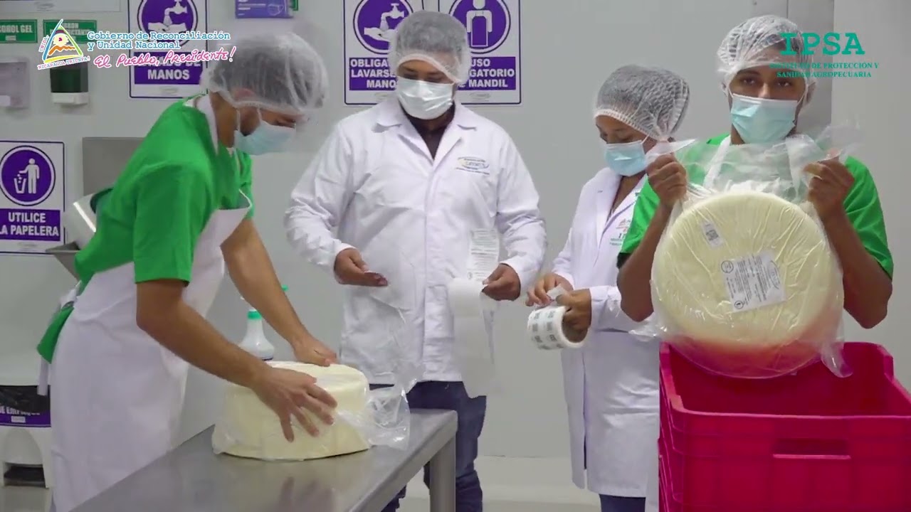 LA PLANTA LEYMUS EN PUERTO CABEZA RACCN ACOPIA 80 MIL LITROS DE LECHE  AL DÍA.