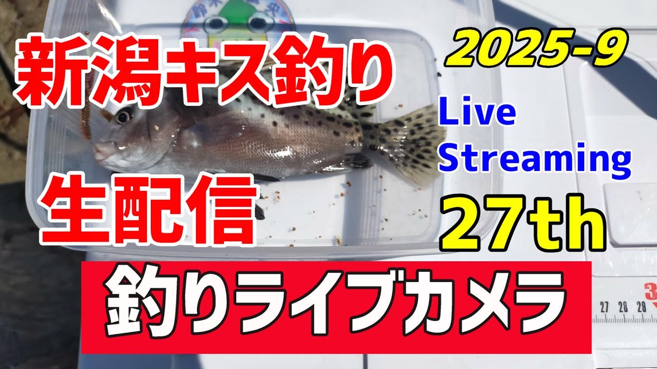 日本海にキス釣りに来ました！珍しい魚が釣れました