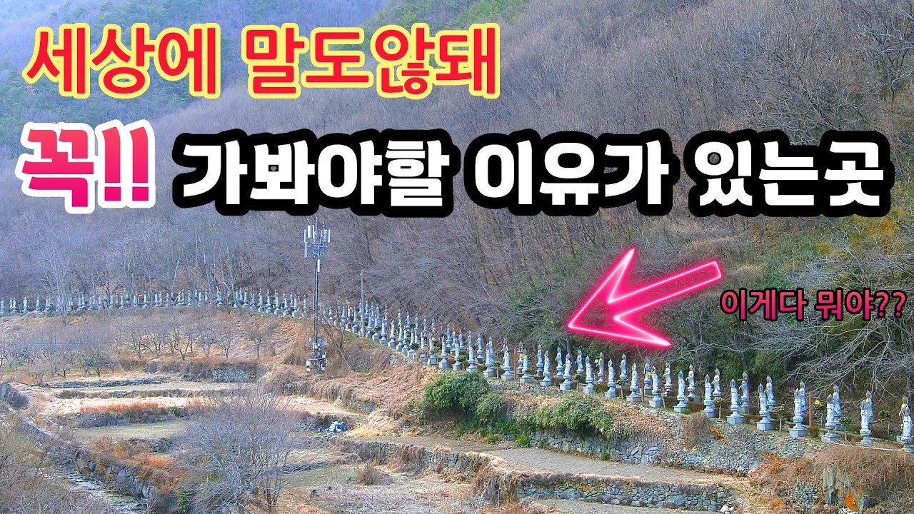 한국에 이런곳이!? 600m 333개 환상의길 벚꽃필때 다녀오지 않으면 두고두고 후회한다는곳