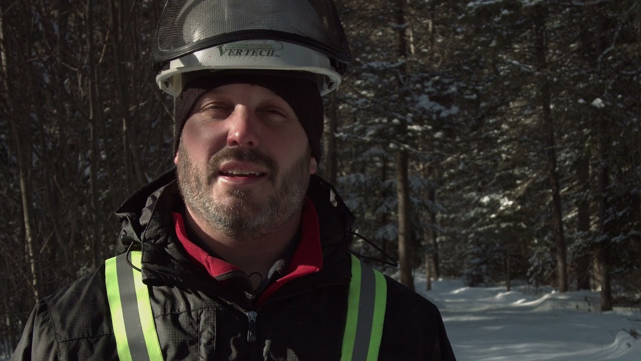 Aménagement de la forêt : Le technicien forestier