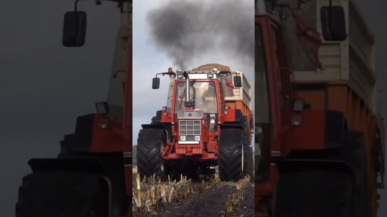 CASE IH INTERNATIONAL 1455 ⚡⚡🔥🔥 #shorts #caseih #johndeere #tractors #tractortrailer #enginepower