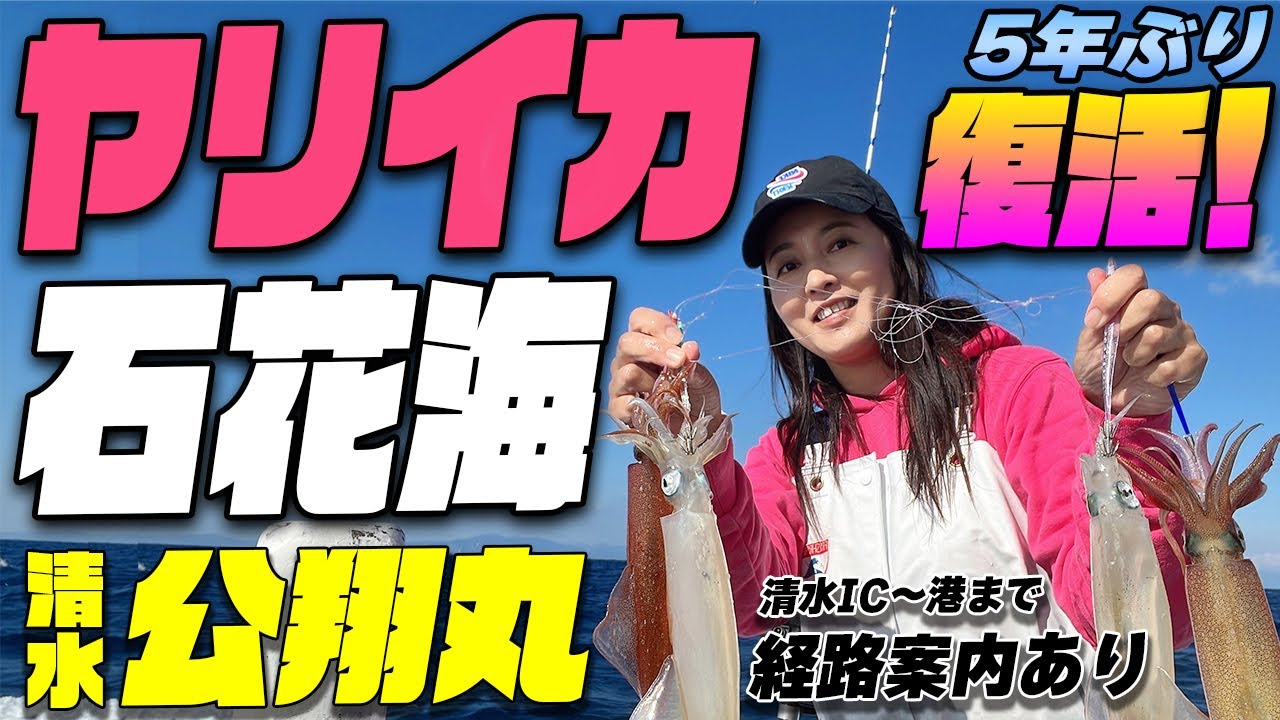 石花海 ヤリイカ釣り 復活！ 駿河湾 石花海のヤリイカ今年は好調～ 桜えびを捕食してる石花海,相の瀬のヤリイカは味が違う絶品！ 清水港 公翔丸高速降りて港まで10分！ 清水IC～港までの経路動画あり
