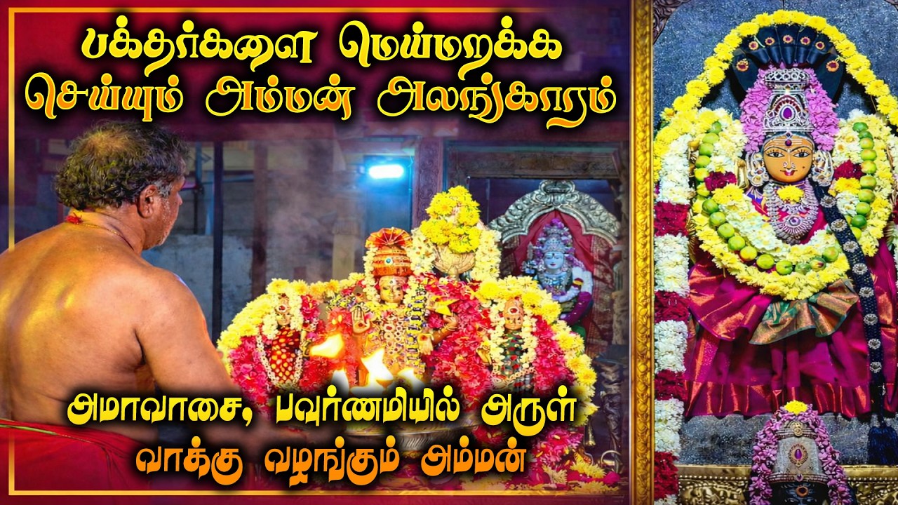 அமாவாசை & பௌர்ணமியில் அருள் வாக்கு வழங்கும் அதிசய அம்மன் – ஆதம்பாக்கம் நவசக்தி கருமாரி..!
